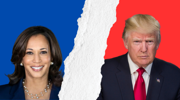 Trump vs. Harris on the Economy