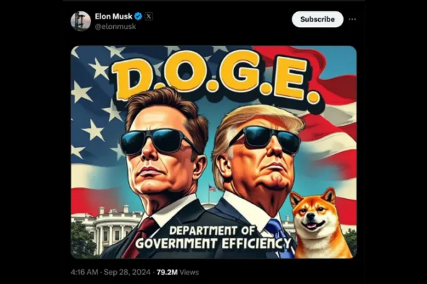 Elon Musk DOGE