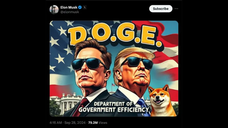 Elon Musk DOGE