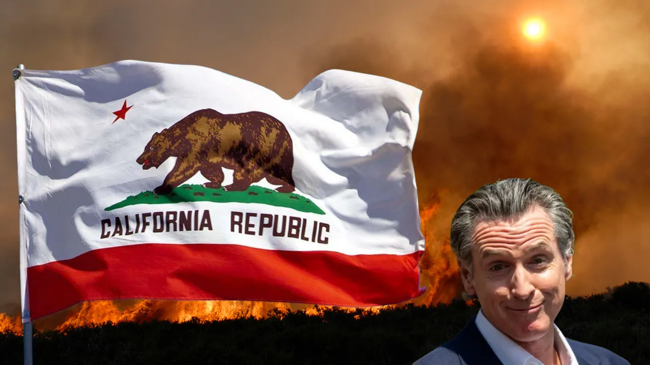 California Wild Fires Newsom