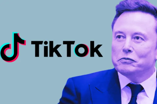 Musk to Buy TikTok?