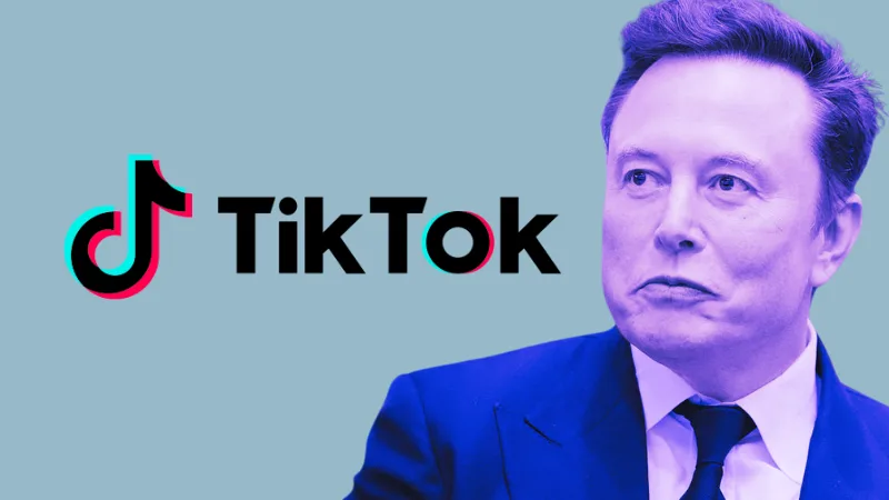 Musk to Buy TikTok?