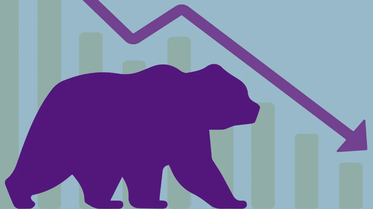 Bear Market