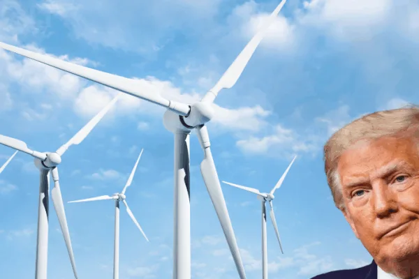 Court Overrules Trump Wind