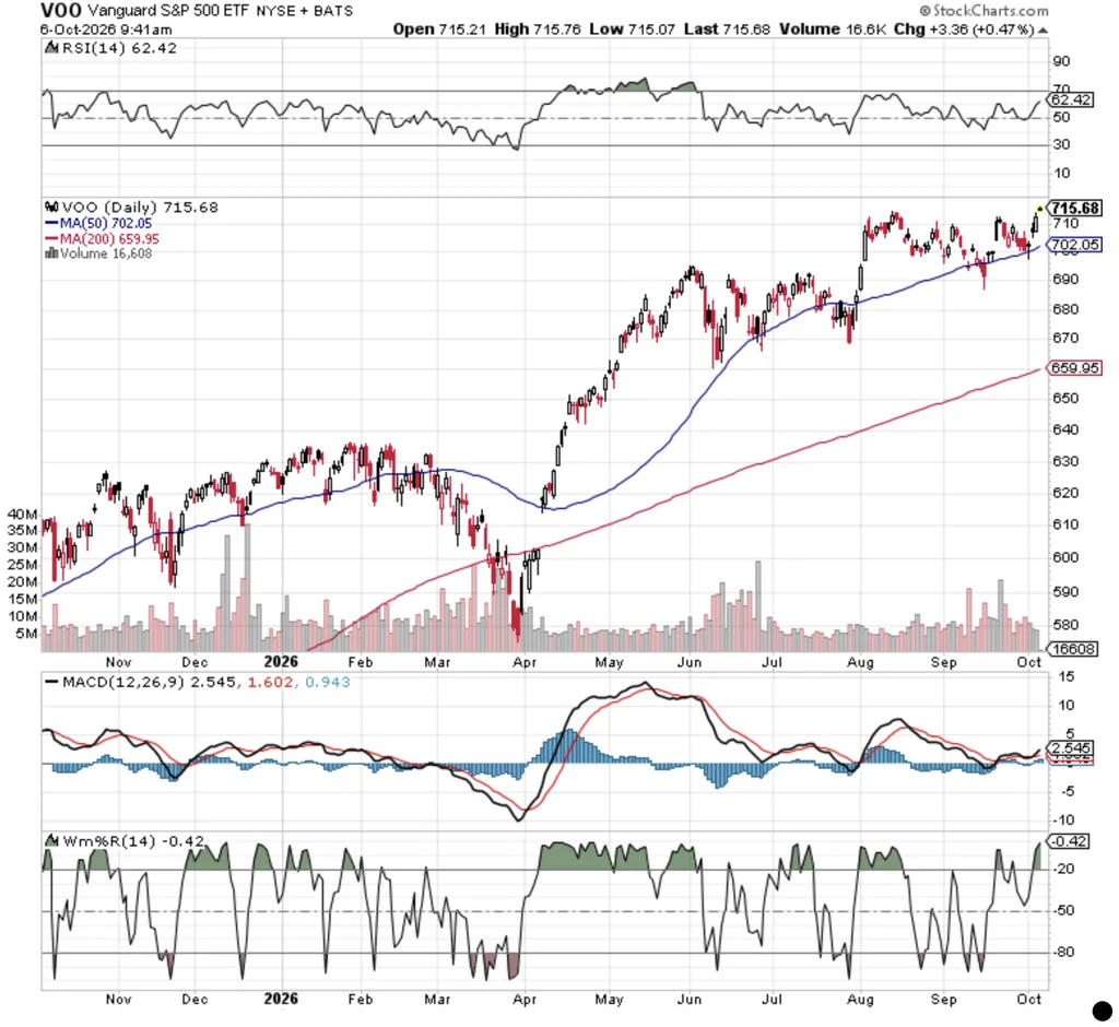 The Vanguard S&P 500 ETF (VOO)